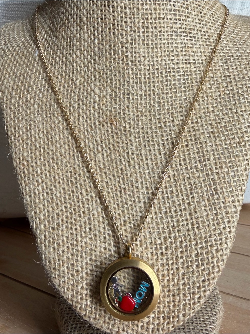 Origami Owl Large Gold Hinged Memory Locket 24” Necklace Mom Autism Boy Apple